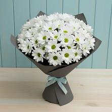 Букет цветов из:  Хризантемы #REPLACE_PRED# Мирном