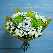 Букет цветов из:  Хризантемы #REPLACE_PRED# Мирном
