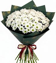 Букет цветов из:  Хризантемы в Мирном
