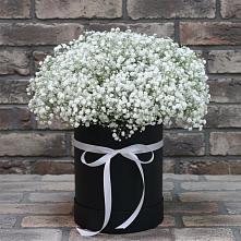 Цветочная композиция из Гипсофила в шляпной коробке в Мирном