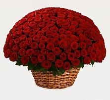 Премиум букет из: Розы #REPLACE_PRED# Мирном